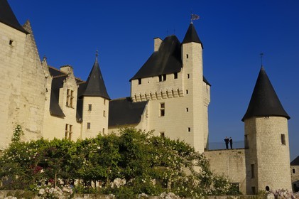 France, Indre et Loire, Chateau du Rivau