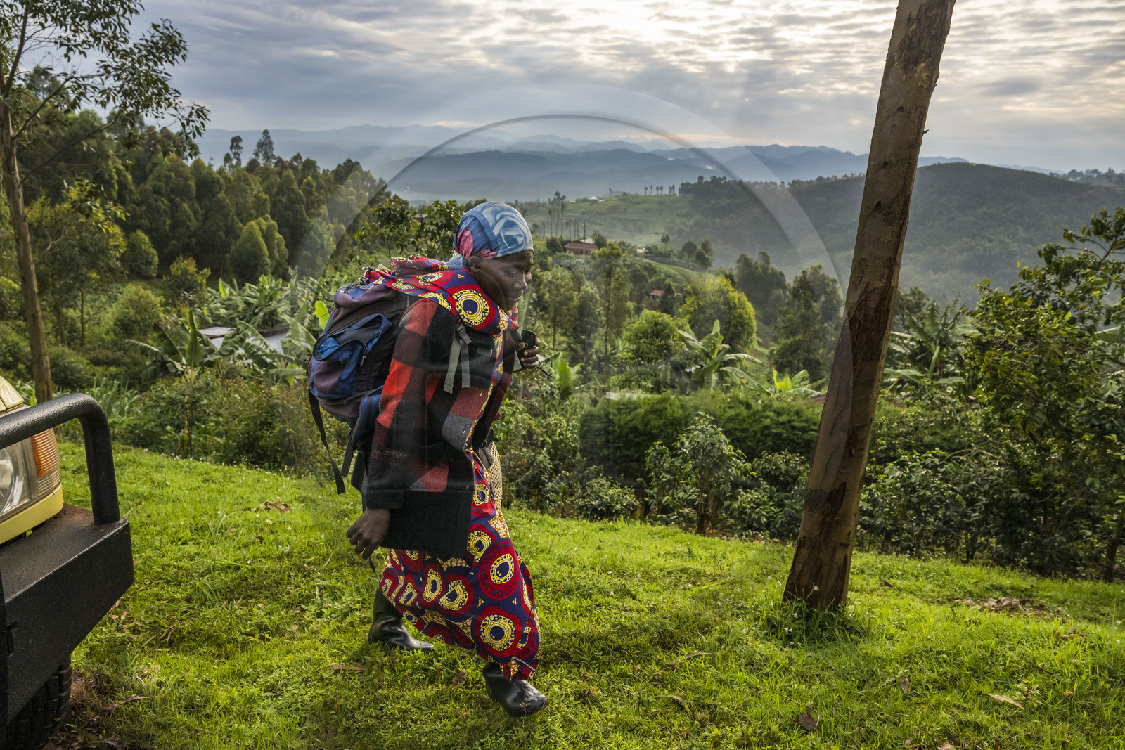 Rwanda, Province de l’Ouest, Gisuma, agriculture dans les collines, en arrière plan les montagnes de la République démocratique du Congo, femme partant travailler dans une plantation de thé