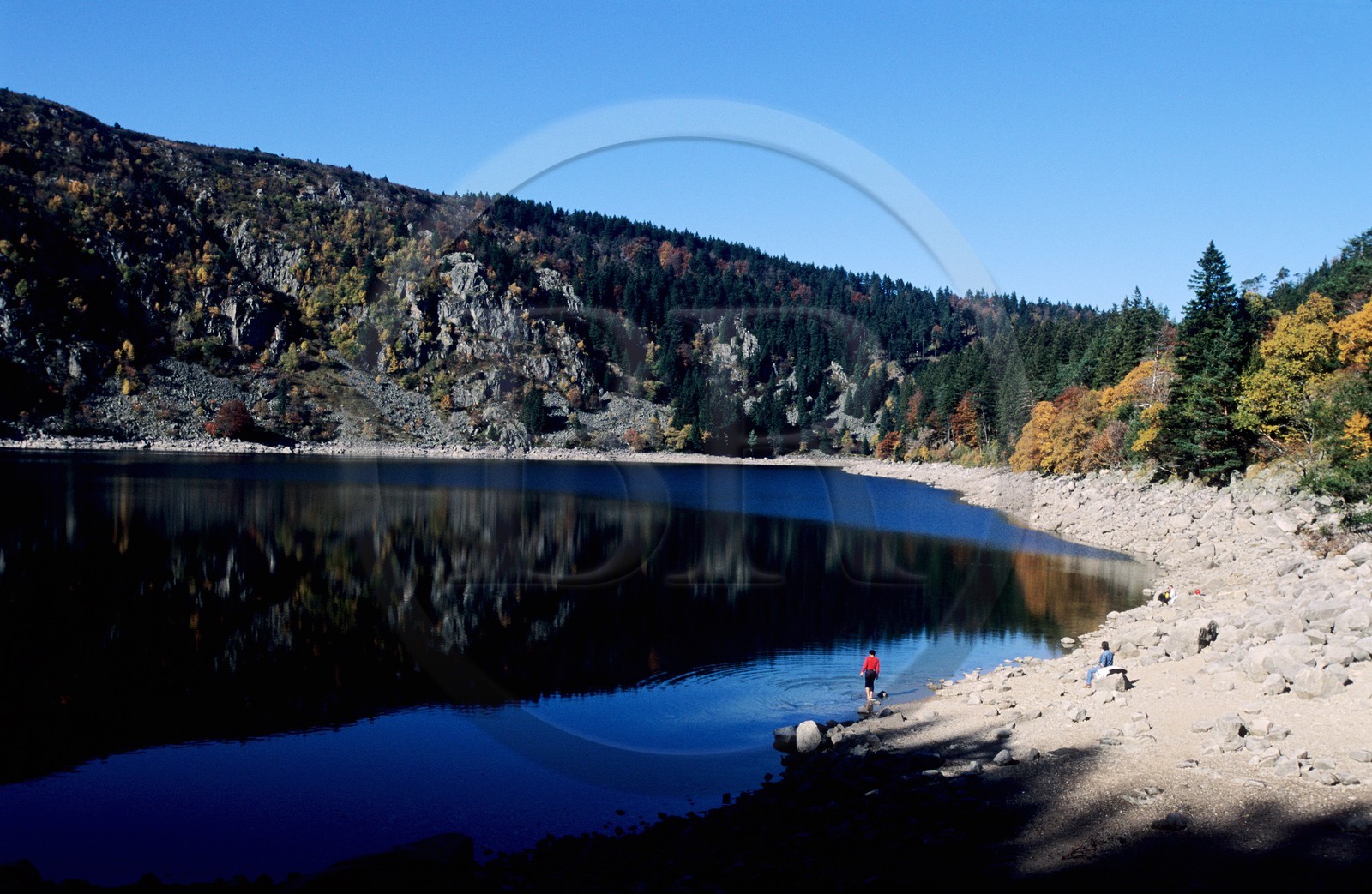 France, Haut-Rhin (68), le massif des Vosges vers le col du Bonhomme, le lac blanc