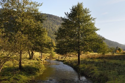 France, Vosges, Le Valtin in the upper valley of the Meurthe, the Meurthe river