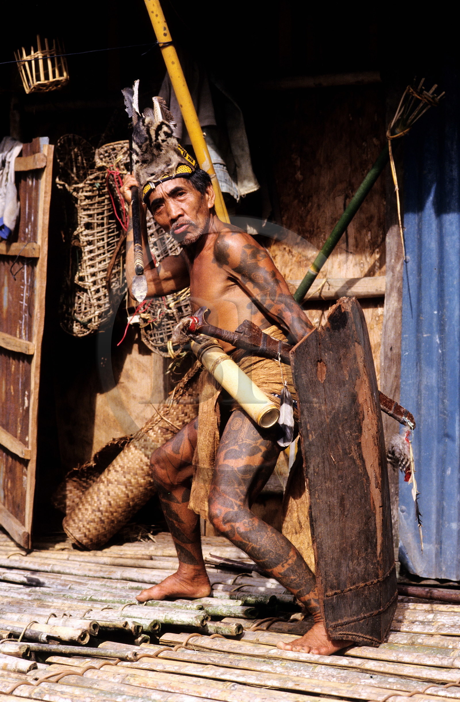 Malaysia, Borneo island, Sarawak, Dayak warrior with tattoos from the Iban tribe with spear, parang (saber) and shield