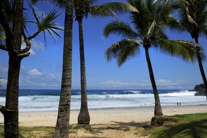 France, île de la Réunion, la côte sud, plage de Grand-Anse