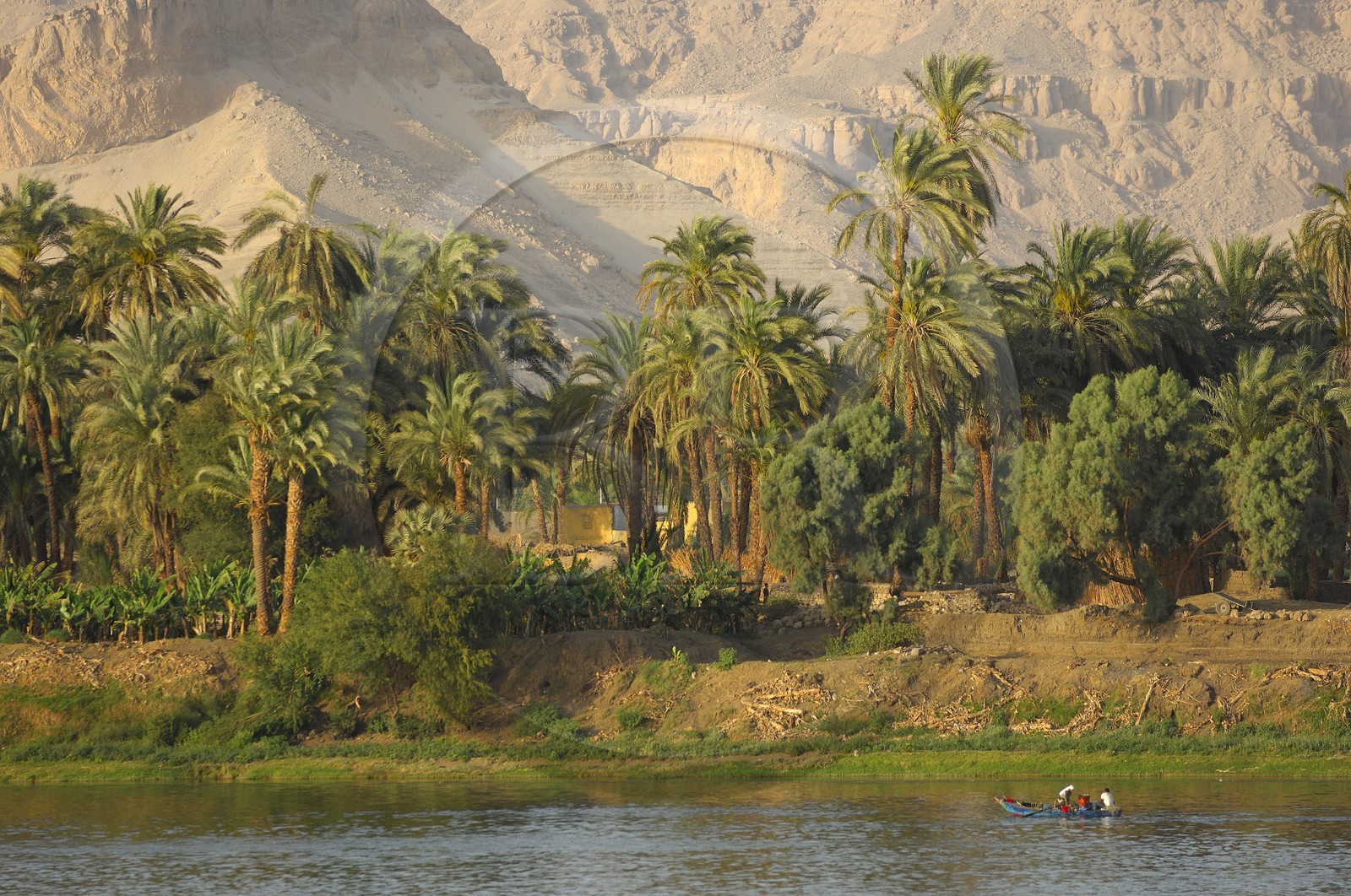 Egypte, Haute Egypte, vallée du Nil, barque de pêcheur sur le Nil entre Louxor et Esna