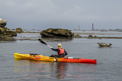 France, Finistère, Penmarch, Étocs archipelago, kayak trip from the Guilvinec Nautical Center to discover the gray seal (halichoerus grypus) in the rocks at low tide, the Eckmuhl lighthouse on Pointe de Penmarch in the background