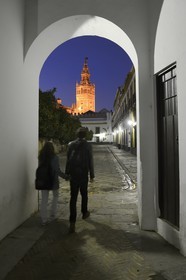 Spain, Andalusia, Seville, the Giralda view from the Courtyard of Flags (Patio de Banderas)