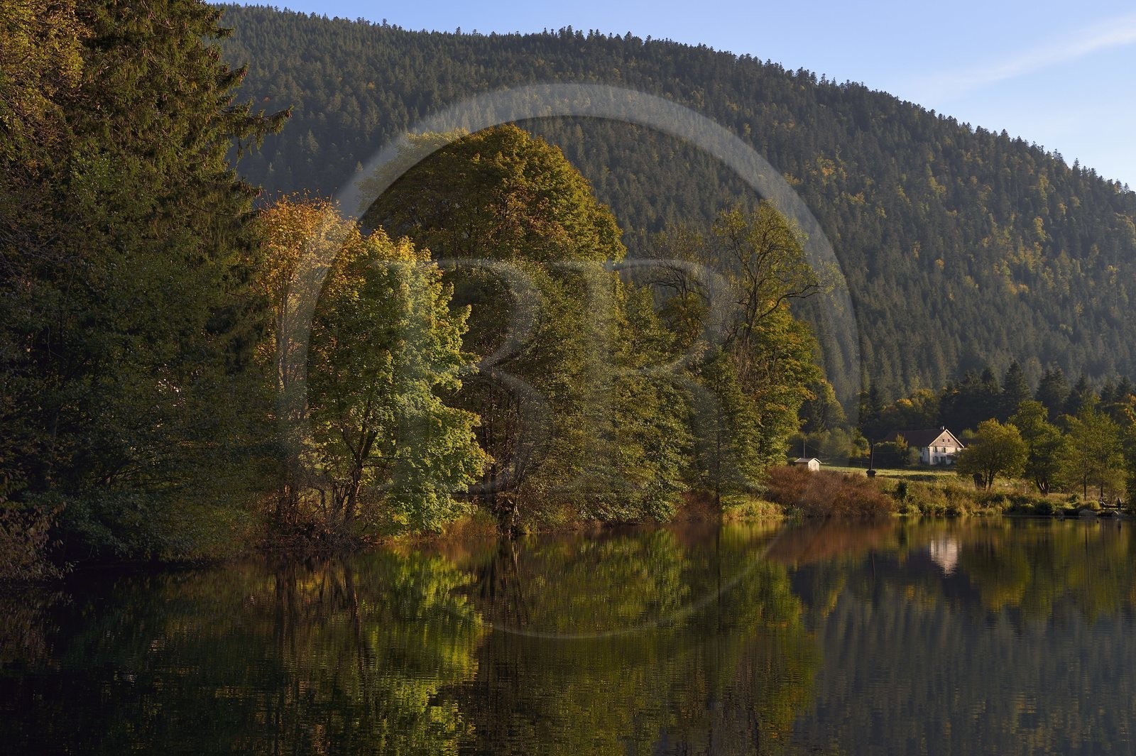 France, Vosges, Le Valtin in the upper valley of the Meurthe, the étang des dames (ladies' pond) crossed by the Meurthe river