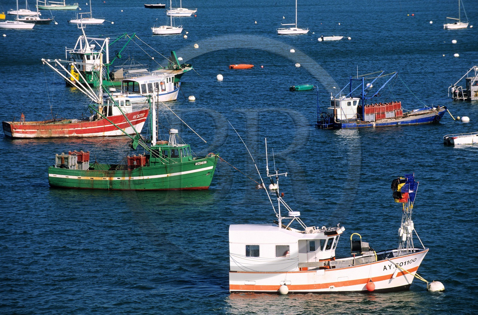 France, Morbihan (56), baie de Quiberon, la Trinité, bateaux de pêche à l' embouchure de la rivière Crach