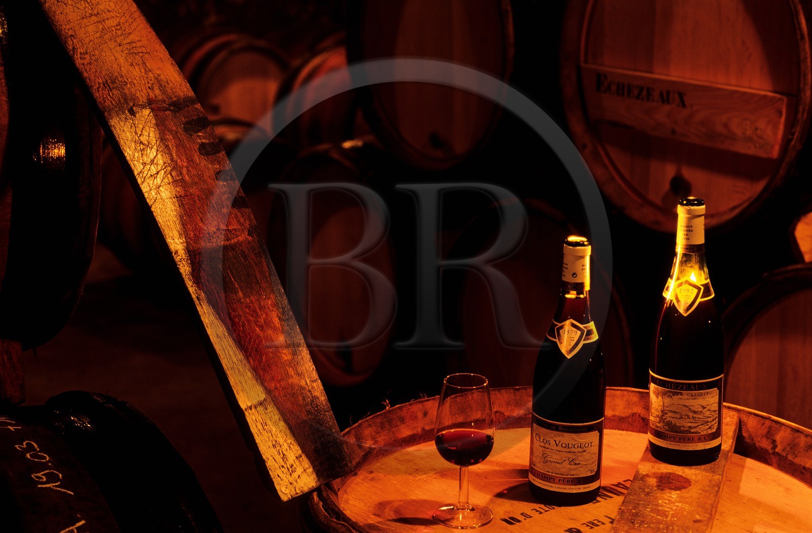 France, Côte-d'Or (21), Beaune, cave vinicole de Champy Père et Fils