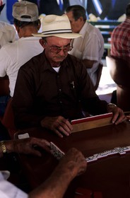 United States, Florida, Miami, Little Havana, Calle Ocho, passionate players at Domino Park