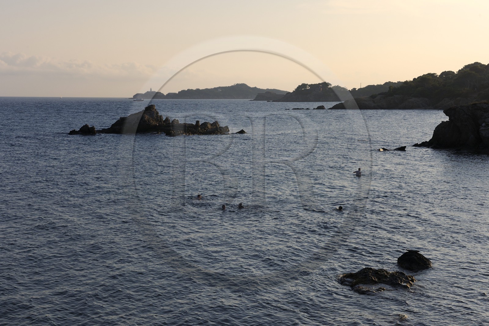 France, Var (83), presqu'île de Giens, la côte vers la Tour Fondue, plongée en apnée