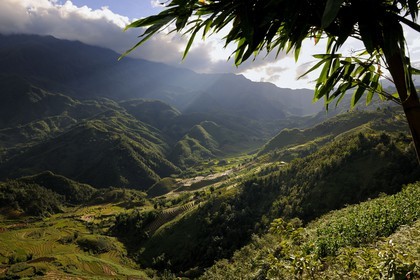 Vietnam, Lao Cai province, Sapa district, the Black Hmong minority group