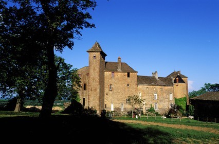 France, Saône-et-Loire (71), Hurigny, maison d'hôtes au château de Salornay (vers Mâcon)