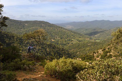 France, Var (83), Massif des Maures, Collobrières, randonnée des Menhirs de Lambert, randonneur au dessus du gouffre du Destéou