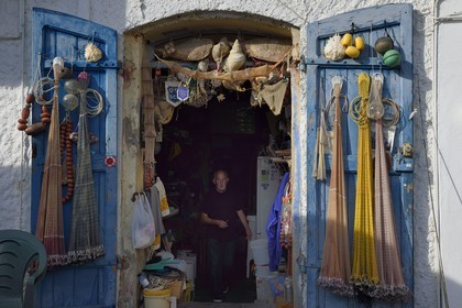 France, Haute Corse, Bastia, Terra-Vecchia district, meeting of former fishermen at their headquarters on the Old Port
