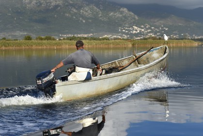 France, Haute Corse, fisherman in a boat on the pond of Biguglia (Stagnu di Chiurlinu) and little egret (Egretta garzetta), nature reserve of Corsica (RNC)