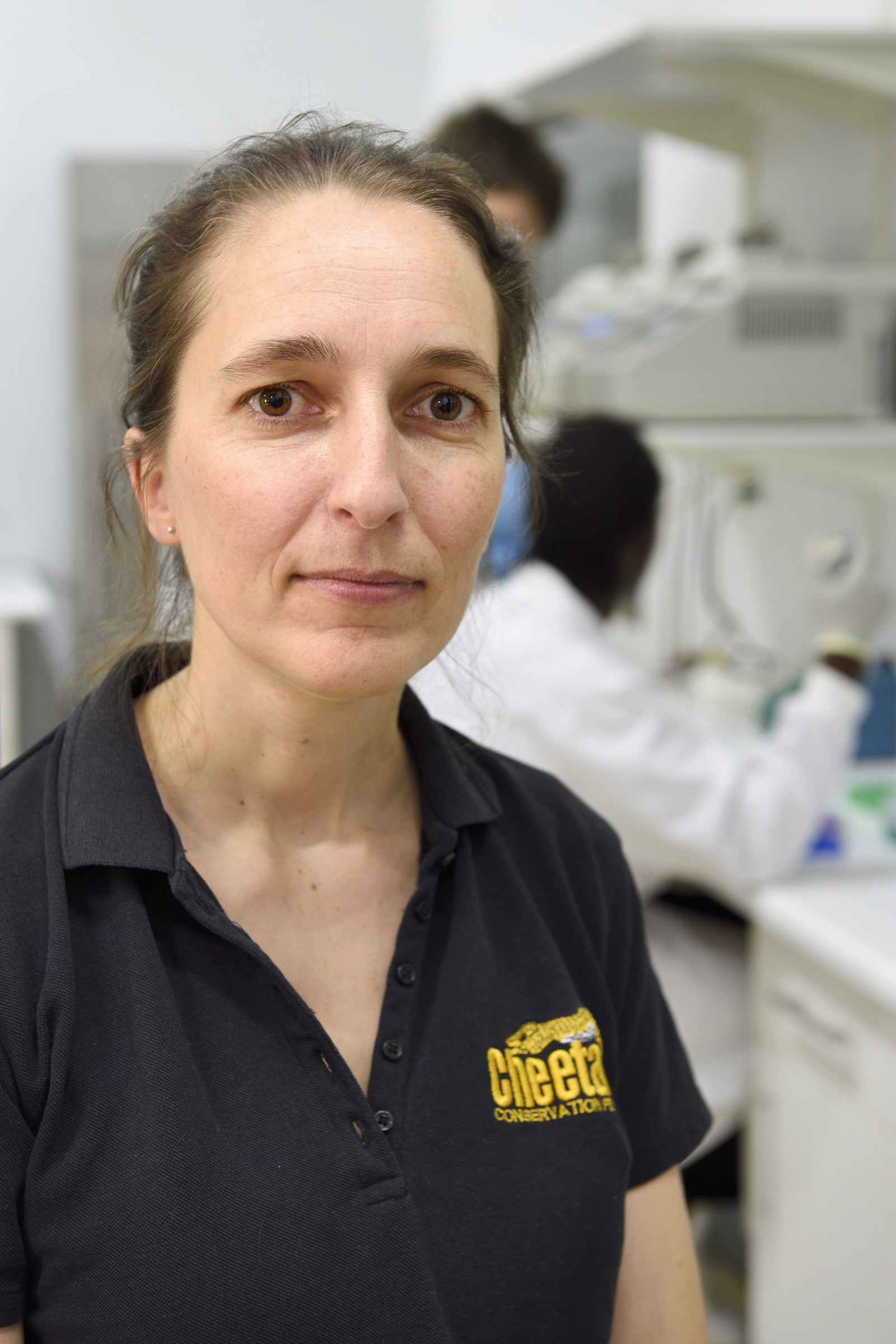 Namibia, Otjiwarongo, Cheetah Conservation Fund, research and education centre, Anne Schmidt-Küntzel, DVM, PhD., Research Geneticist and Assistant Director for Animal Health and Research