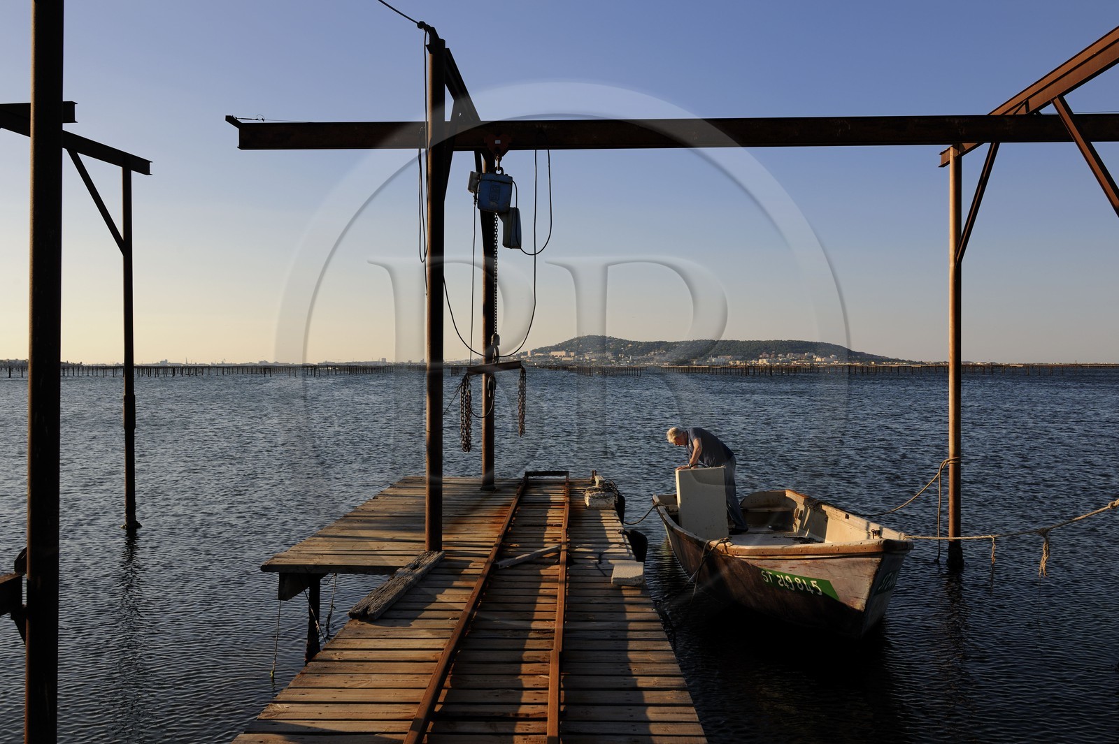 France, Hérault (34), Bouzigues, étang de Thau, exploitation conchylicole au lieu dit La Catonnière face au Mont Saint-Clair