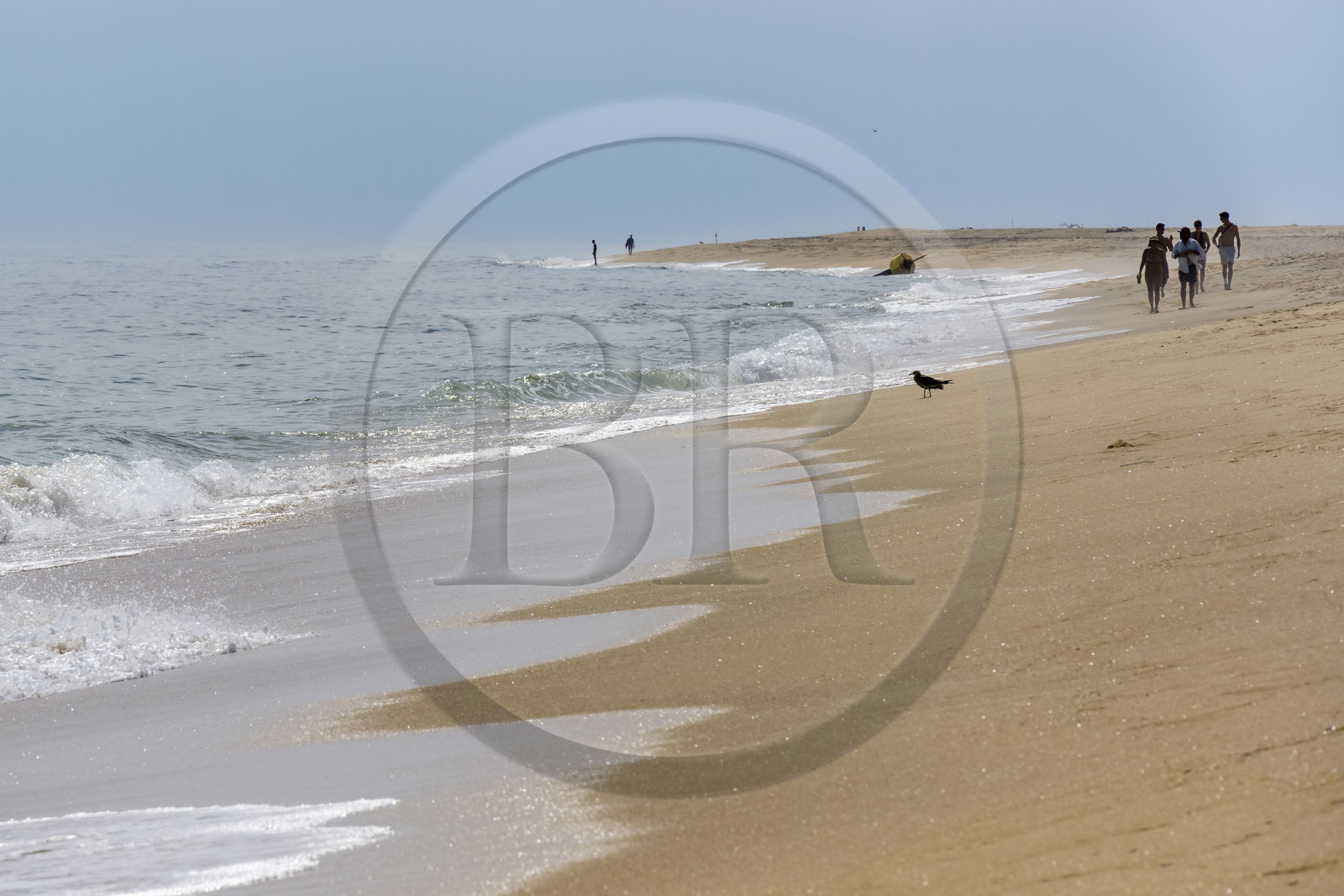 Portugal, Algarve, Parc naturel de la Ria Formosa, Faro, la plage de Ile de Barreta ou Deserta (Ilha da Barretta ou Deserta)