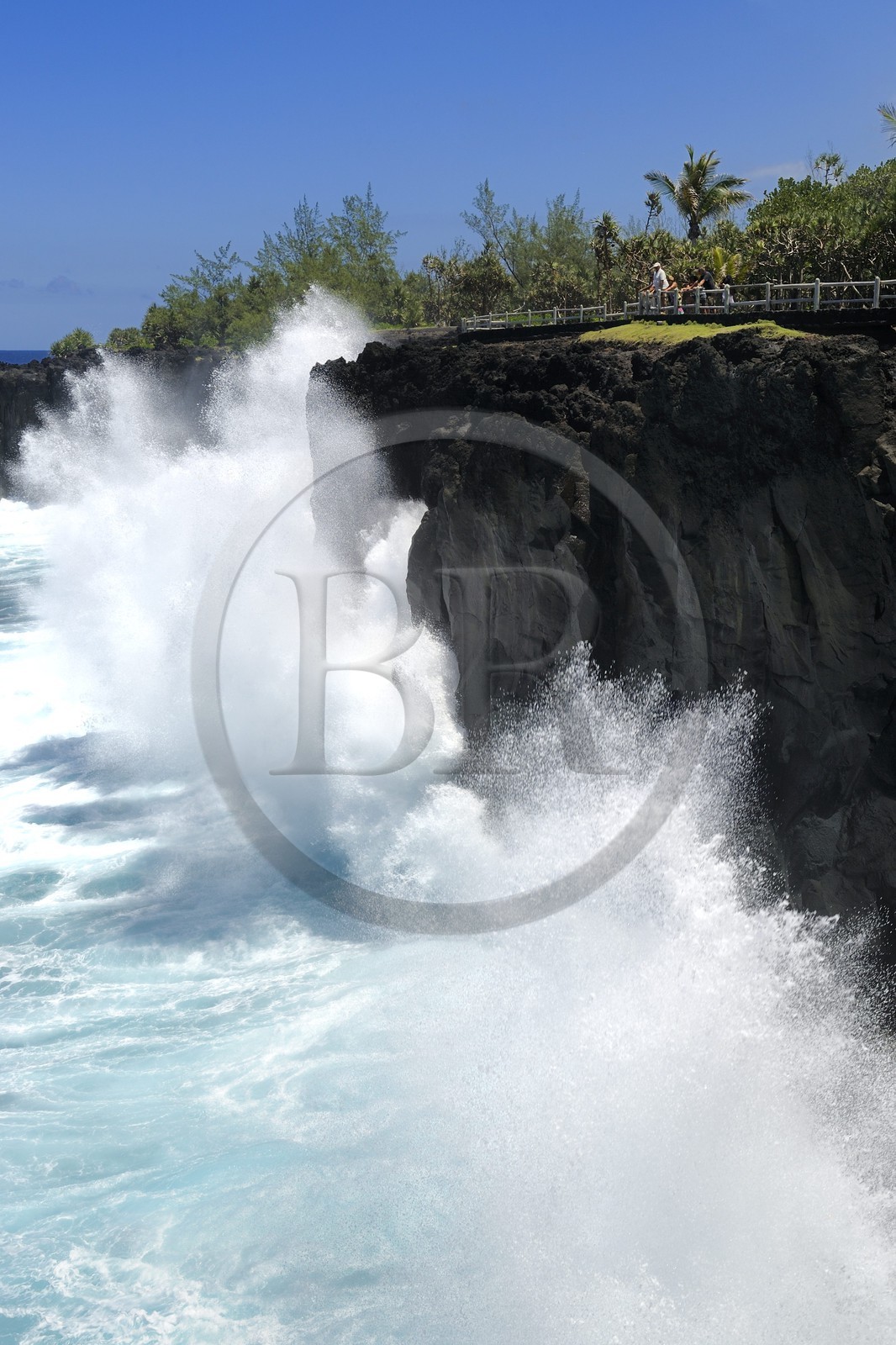 France, Ile de la Reunion, côte sud, Saint-Philippe, le Cap Méchant est situé le long d'une côte déchiquetée de roche volcanique frappée par la houle et typique de la région appelée Sud sauvage