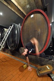 France, Haut Rhin, the Alsace Wine Route, Bergheim, Wine estate Marcel Deiss, the winegrower Mathieu Deiss coming out of this big barrel after cleaning the inside