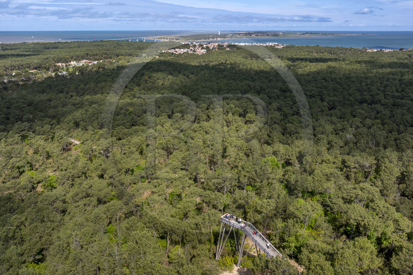 France, Vendée (85), La Barre-de-Monts, belvédère du Pey de la Blet, l'escalier dans le ciel au coeur de la forêt, le pont menant à l'Ile de Noirmoutier en arrière plan (vue aérienne)
