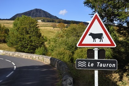France, Ardeche, Sainte Eulalie, bridge over the Tauron at Les Jalades, Cow Passage sign