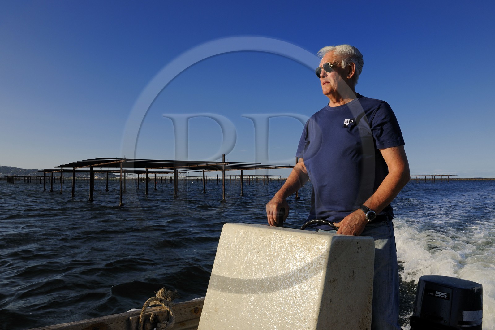 France, Hérault (34), Bouzigues, étang de Thau, parc à huîtres face au Mont Saint-Clair, l'ostréiculteur Jean Pierre Molina