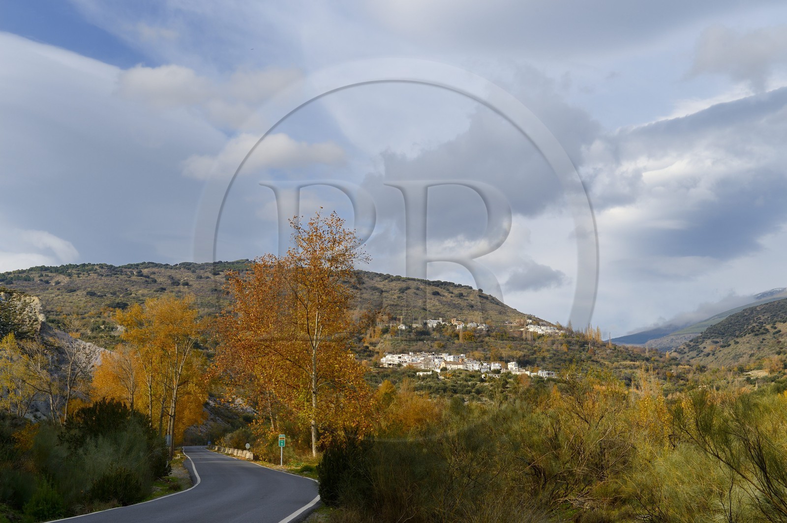 Espagne, Andalousie, province de Grenade, vallée au sud du village de Mecina Alfahar dans la region des Alpujarras