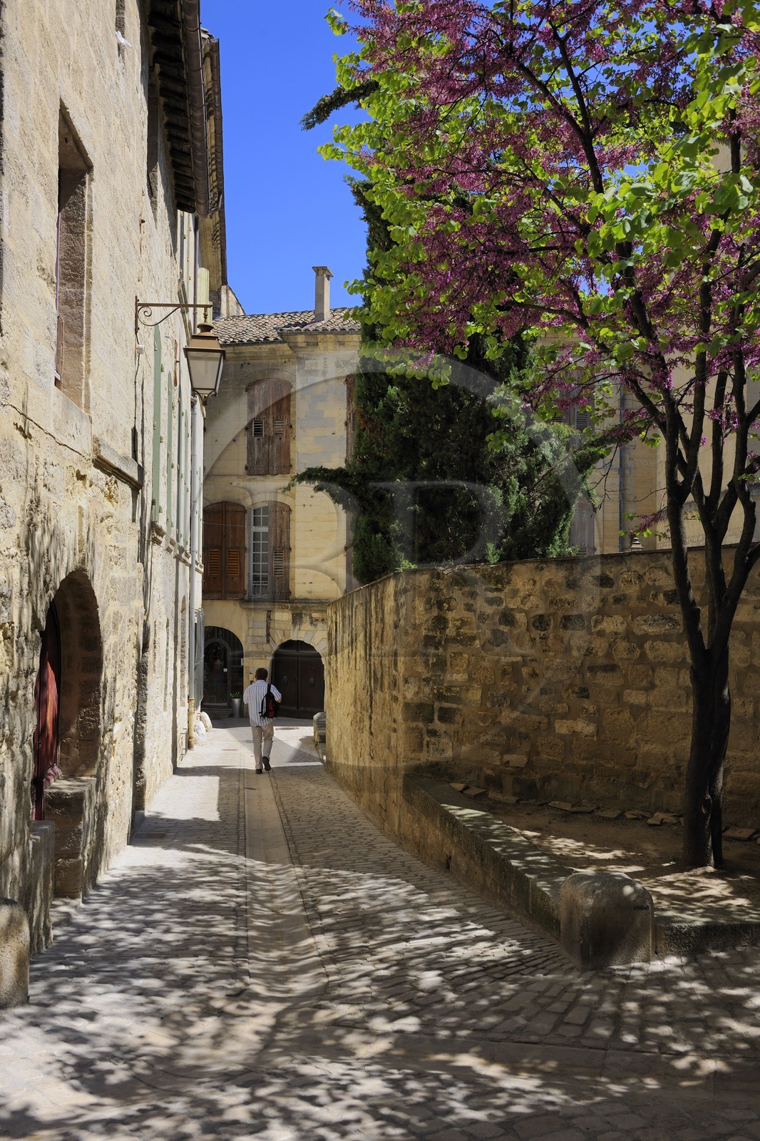 France, Gard (30), Uzès, classée ville d'art et d'histoire, rue Gaston Chauvet