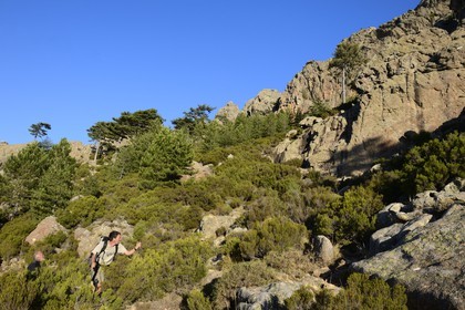 France, Corse du Sud, Alta Rocca, Aiguilles de Bavella (Bavella Needles), hikers on the alpine variante of the GR 20 (Grande Randonnée itinerary)