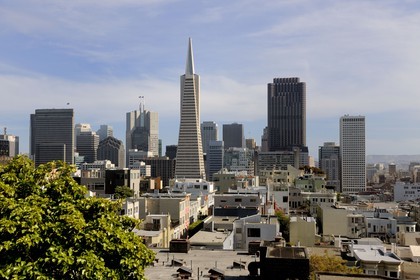 Etats-Unis, Californie, San Francisco, financial district, Transamerica Pyramid Building par l'architecte William Leonard Pereira