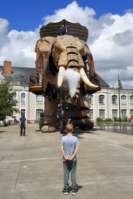 France, Loire-Atlantique, Nantes, Les Machines de l'Ile, an artistic project created by François Delaroziere and Pierre Orefice, the Big Elephant and the hangars of the former shipyards in the background