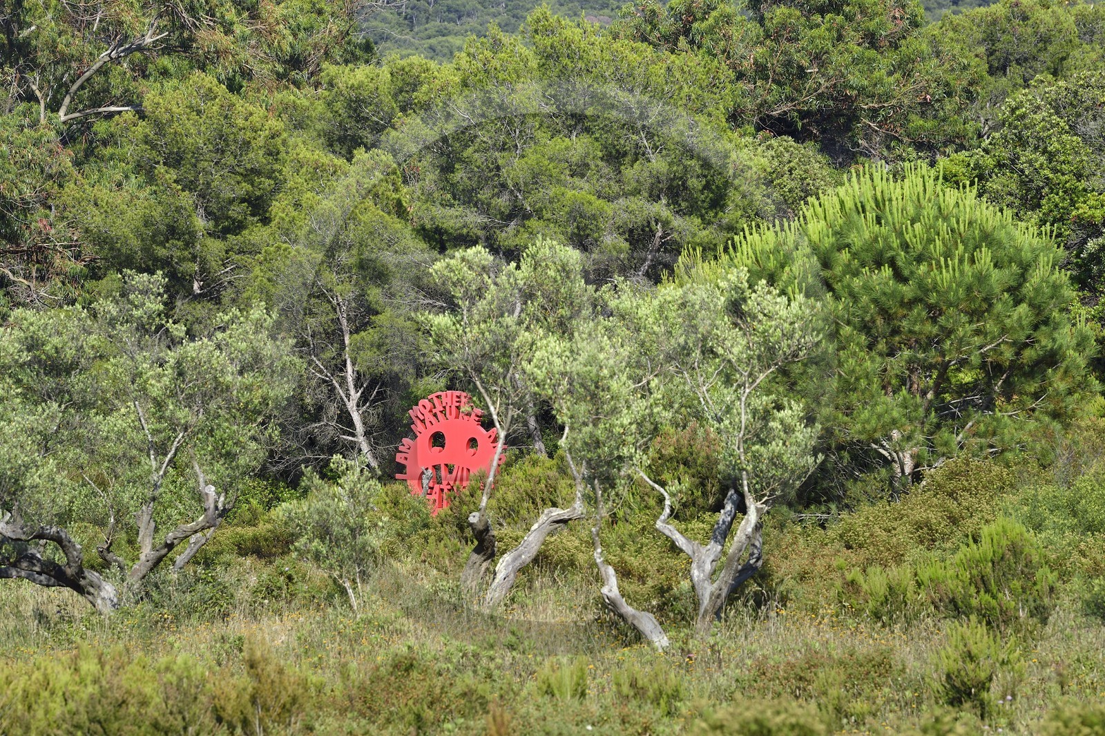 France, Var (83), Iles d'Hyères, parc national de Port Cros, Ile de Porquerolles, la Fondation Carmignac, I am Mother Nature and I will eat you sculpture d’Olaf Breuning