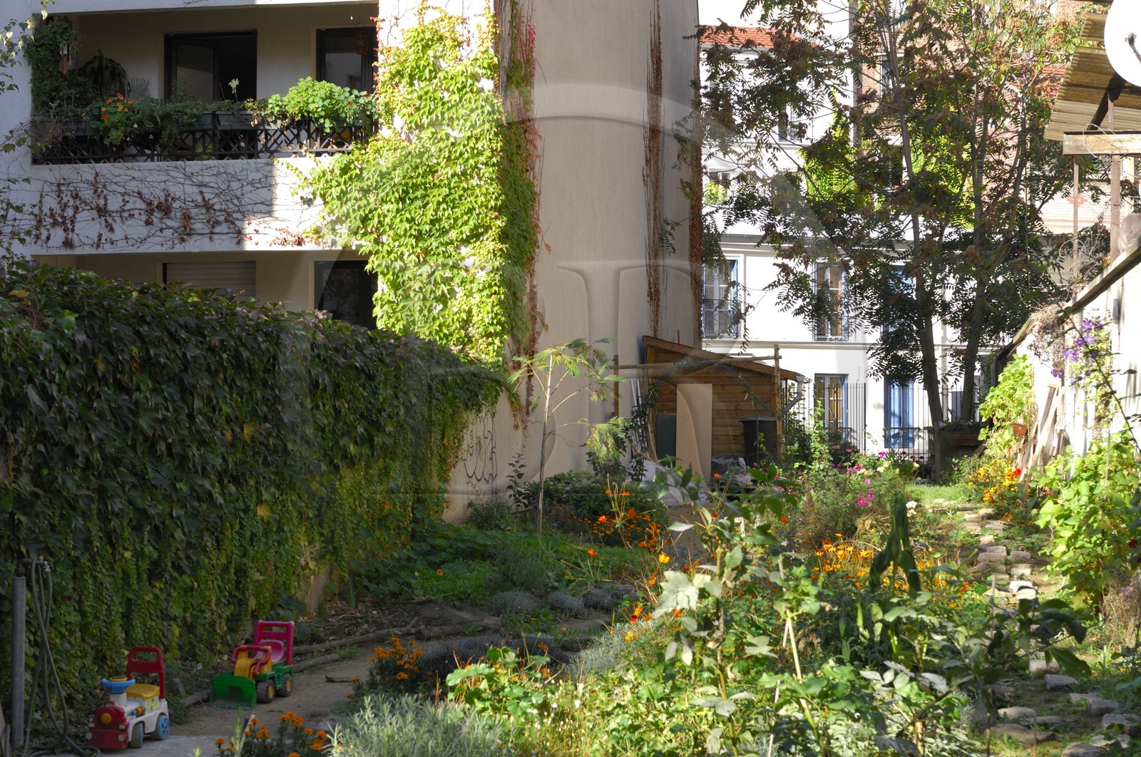 France, Paris (75), passage des Soupirs à Menilmontant, jardin communautaire