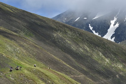 Georgia, Kakheti, Tusheti National Park, riders' caravan at Abano Pass at 2826 meters along the spectacular trail that connects Telavi to Omalo
