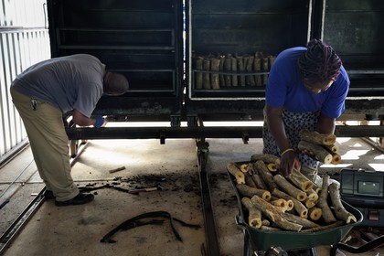 Namibia, Otjiwarongo, Cheetah Conservation Fund, research and education centre, CCF BUSH Pty Ltd manufactures wood fuel briquettes as a pilot project to explore a strategy to improve habitat for cheetah by removal of thickened bush, Bushblock