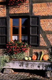 Belgium, Wallonia, Villers-sur-Lesse, facade of brick-built farm