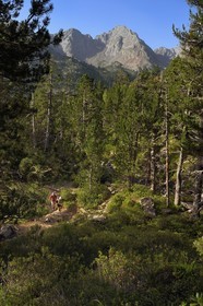 France, Hautes Pyrenees, Saint Lary Soulan and Aragnouet, Neouvielle National Nature Reserve, Neouvielle lakes hike, hikers climbing to the Lacs des Laquettes