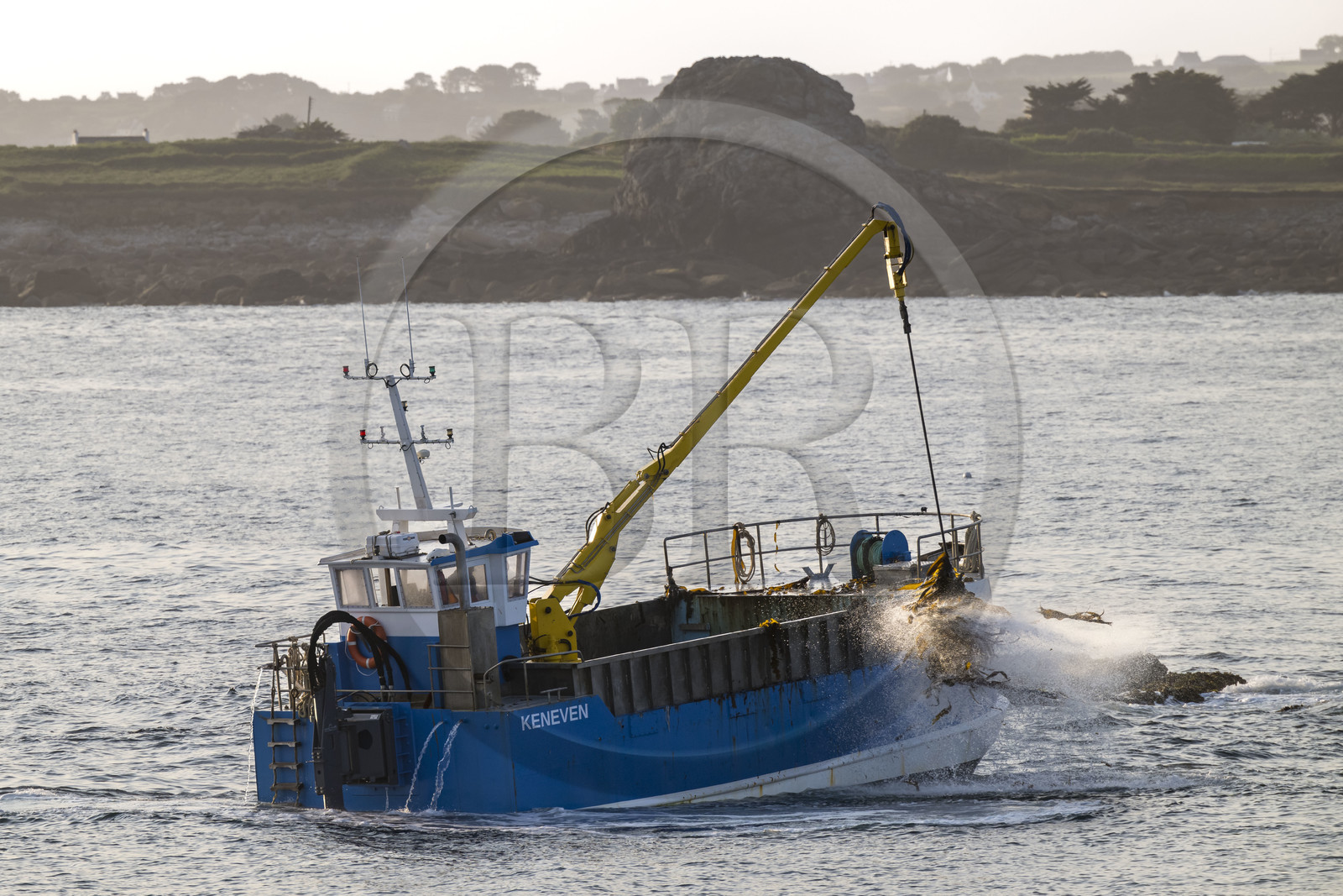 France, Finistère (29), Pays des Abers, Ile Vierge dans l'archipel de Lilia, bateau goémonier utilisant un de ses deux bras mécaniques articulés se terminant par un scoubidou pour récolter des algues marines le goémon