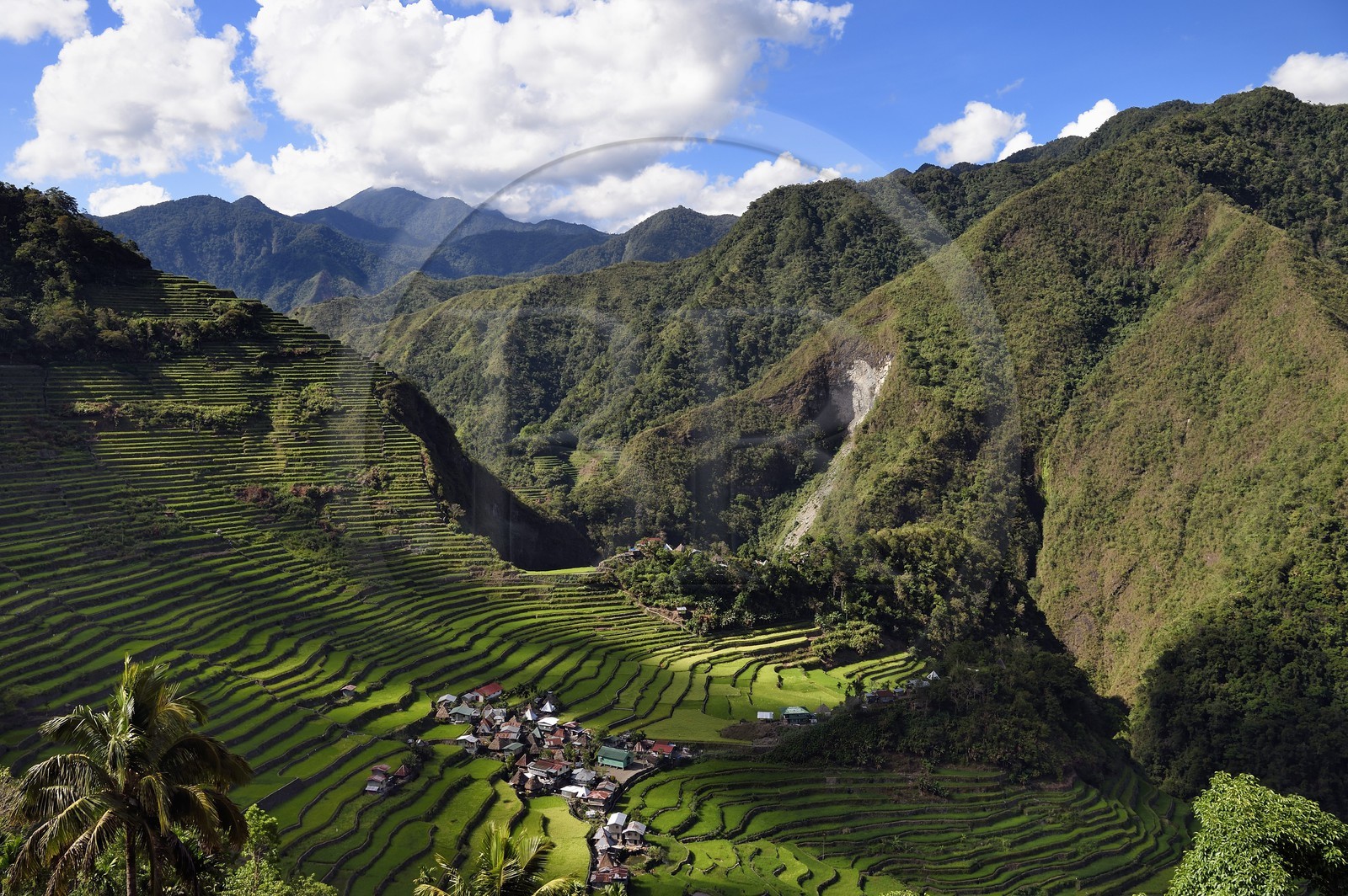 Philippines, province d'Ifugao, les rizières en terrasses de Banaue autour du village de Batad, classées Patrimoine Mondial de l'UNESCO, alimentées par un ancien système d'irrigation depuis la forêt tropicale au-dessus des terrasses