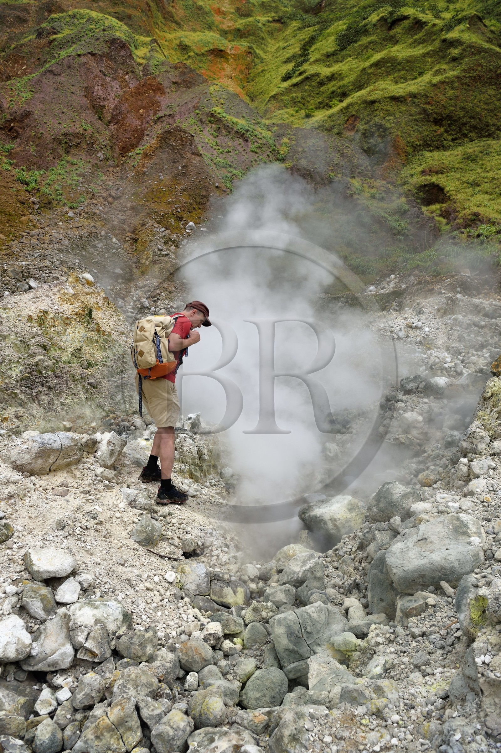 Caraïbes, Ile de la Dominique, Castle Bruce, Parc national du Morne Trois Pitons classé Patrimoine Mondial de l'UNESCO, la Vallée de la Désolation avec fumerolles et sources d'eau chaude, randonnée sur le sentier menant au Boiling Lake