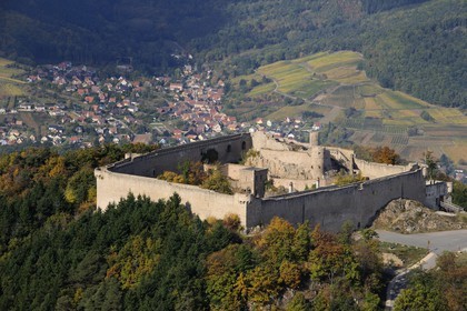 France, Haut-Rhin (68), le château de Hohlandsbourg dans le massif des Vosges sur les hauteurs d'Eguisheim (photo aérienne)