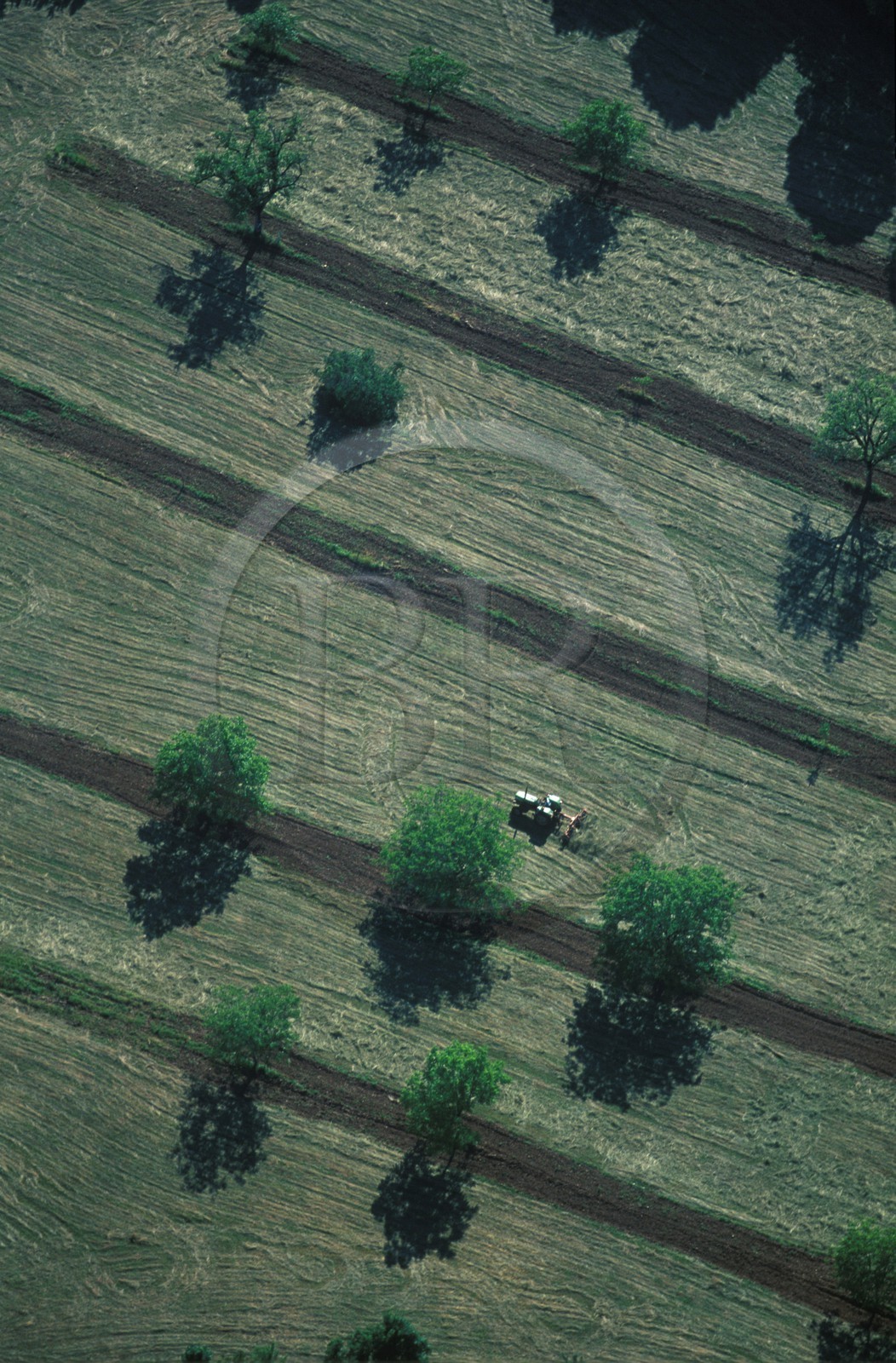 France, Corrèze (19), ramassage des foins dans les environs de Collonges-la-Rouge (vue aérienne)