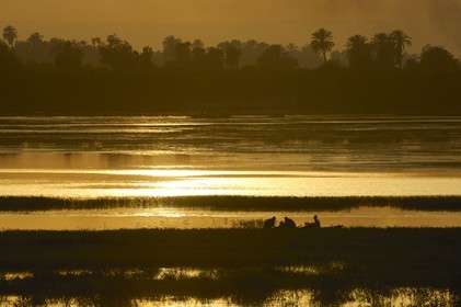 Egypt, Upper Egypt, Nile Valley, fishing barque on the Nile river between Luxor and Esna