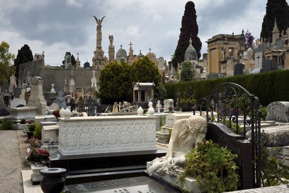 France, Alpes-Maritimes (06), Nice, le cimetière du chateau