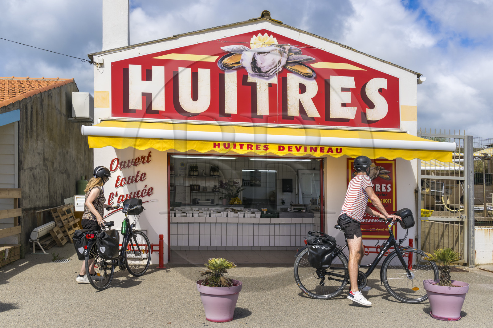 France, Vendée (85), île de Noirmoutier, La Guérinière, cyclistes devant un ostréiculteur au Port de Bonhomme