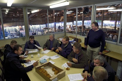 France, Seine Maritime, Forges les eaux, livestock market (mainly cows), meeting of traders to set prices