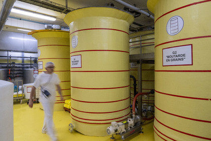 France, Cote d'Or, Climats terroirs of Burgundy listed as World Heritage by UNESCO, Beaune, the Fallot mustard factory, production workshops