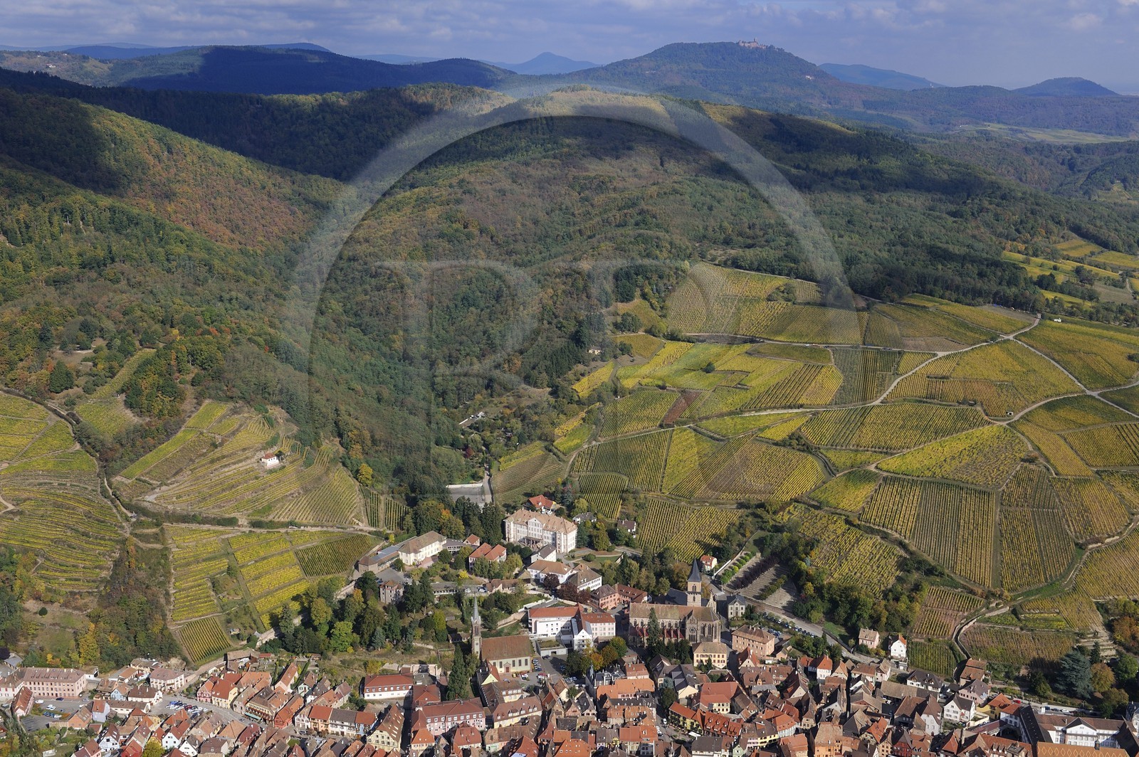 France, Haut-Rhin (68), Ribeauvillé et son vignoble au pied du massif des Vosges (photo aérienne)