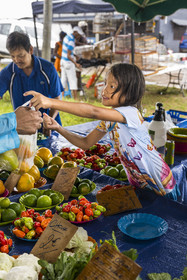 France, Guyane, Javouhey, marché du dimanche Hmong, réfugiés du Laos arrivés en 1978 qui se sont spécialisés dans la culture fruitière, Nancy, 7 ans, présente les produits de l'étal de ses parents